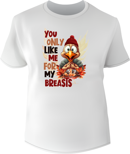 You only like me for my Breasts